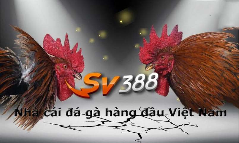 Xvip Games cung cấp nhiều phương thức thanh toán - Xvip
